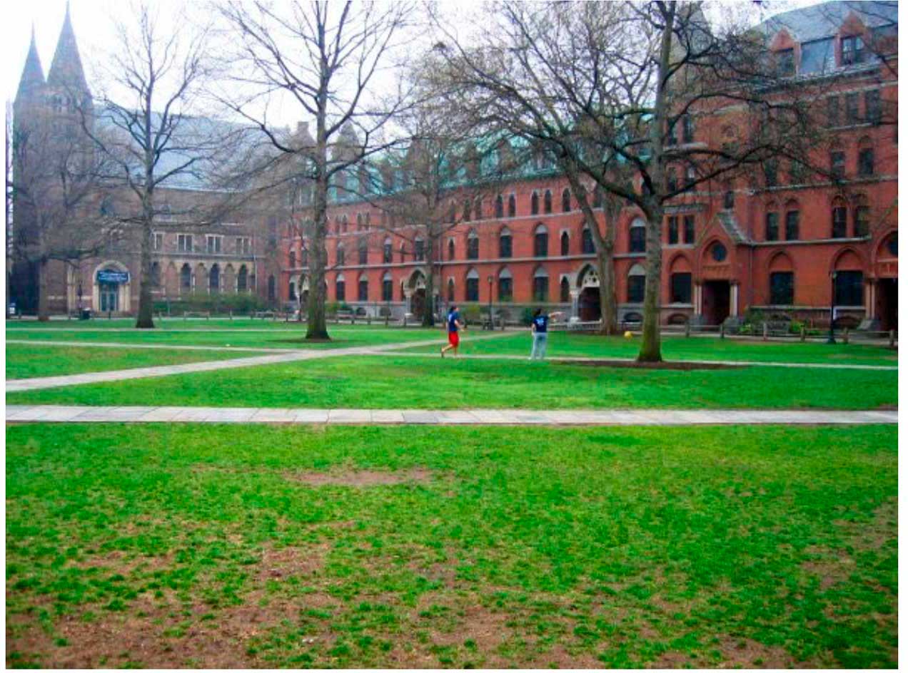 The Old Campus at Yale (Photo by Dan Voll) The Old Campus at Yale (Photo by Dan Voll)